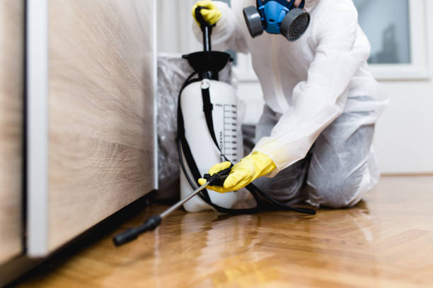 Best Emergency Pest Control  in Santa Clara, CA
