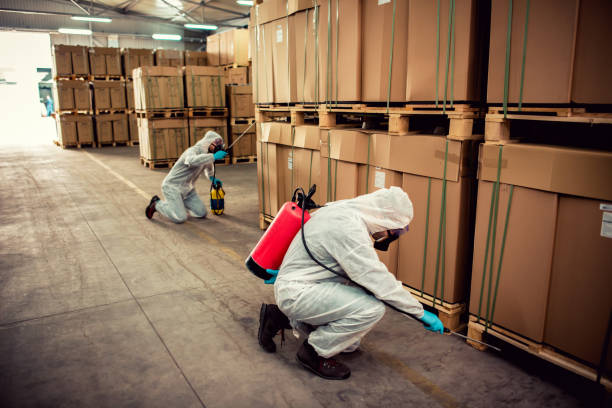 Best Rat Extermination Near Me  in Santa Clara, CA