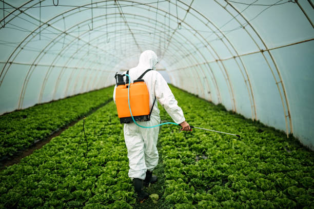 Pest Prevention Services in Santa Clara, CA