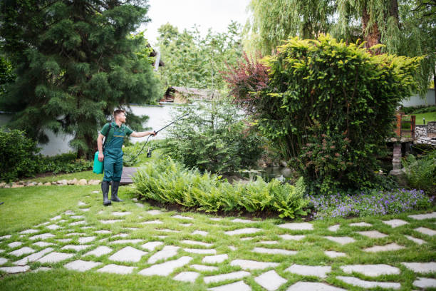 Best Affordable Pest Control Services  in Santa Clara, CA