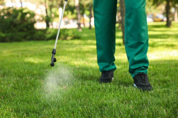 Best Pest Prevention Services  in Santa Clara, CA