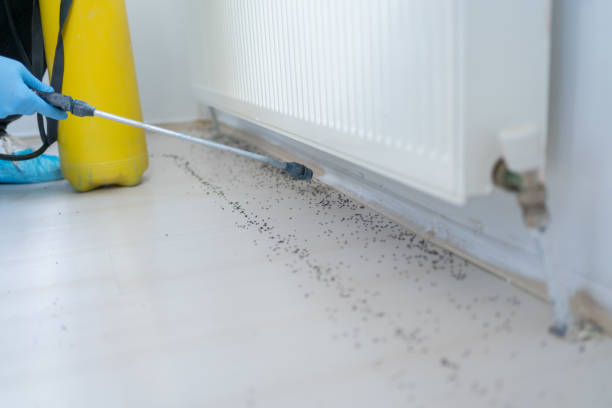 Best Best Pest Control Companies  in Santa Clara, CA