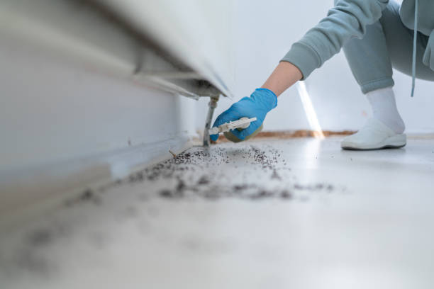 Best Rodent Control Near Me  in Santa Clara, CA